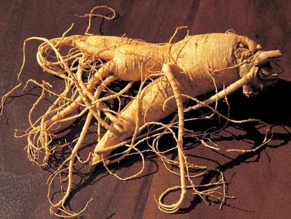Ginseng -wortel