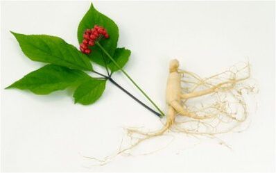 Natuurlijke stimulerende middelen van potentie bij mannen