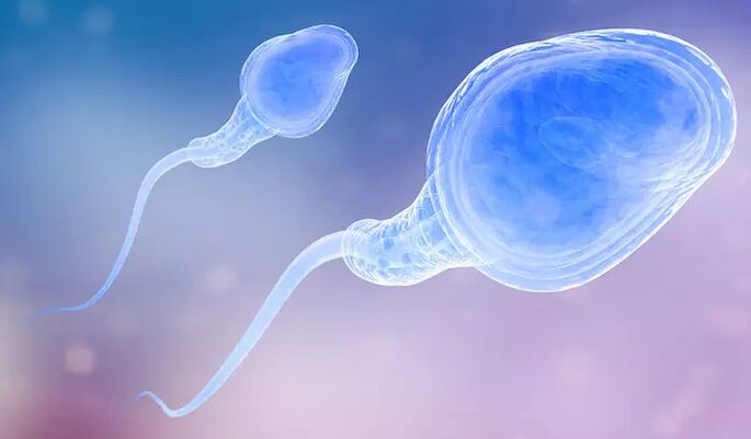 Spermatozoa kunnen aanwezig zijn in het pre-ejaculaat van een man